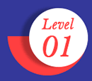 Mould Abatement Level 1